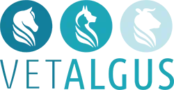 logo Vetalgus